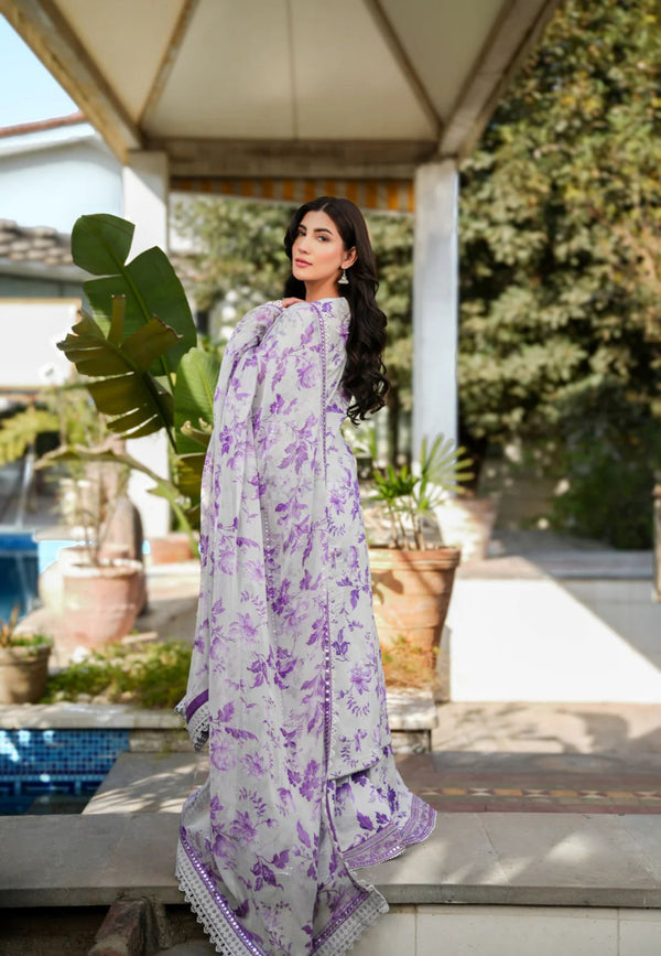 Aneela's