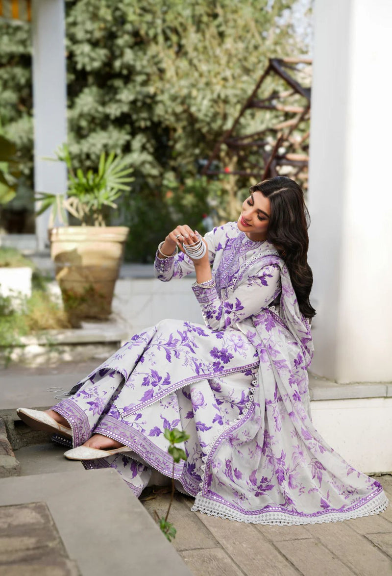 Aneela's