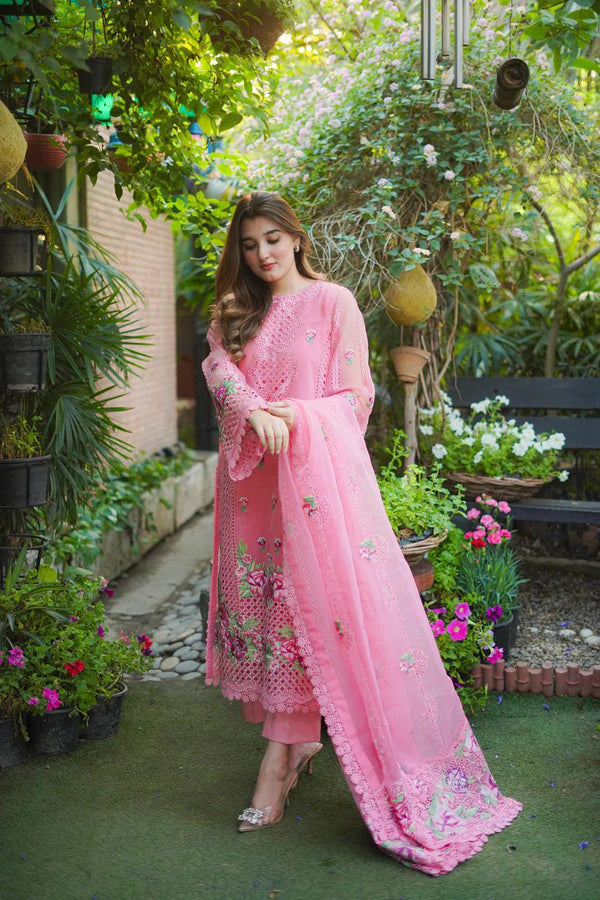 3pc Luxury Emb Suit